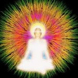 Meet your Posher, Meek